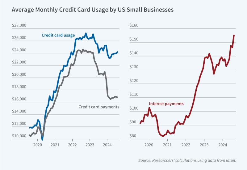 Credit Cards and the Financing of Small Businesses Primary tabs